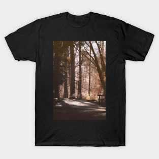 Sit and Dream on a Path in the Woods T-Shirt